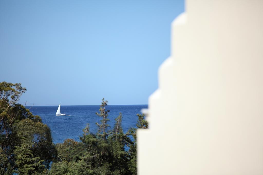 Aithra -Agios Petros Andros Villa Gavrio Bagian luar foto
